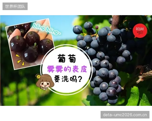 剥开“生物黑科技”的外衣，当前的许多营养订阅服务是否只是新瓶装旧酒的营销噱头？